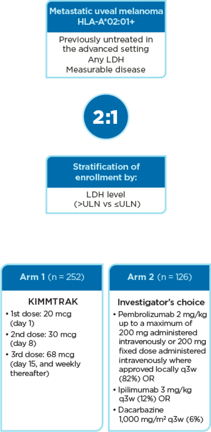 A flow chart that shows the stages of the KIMMTRAK phase 3 clinical trial process