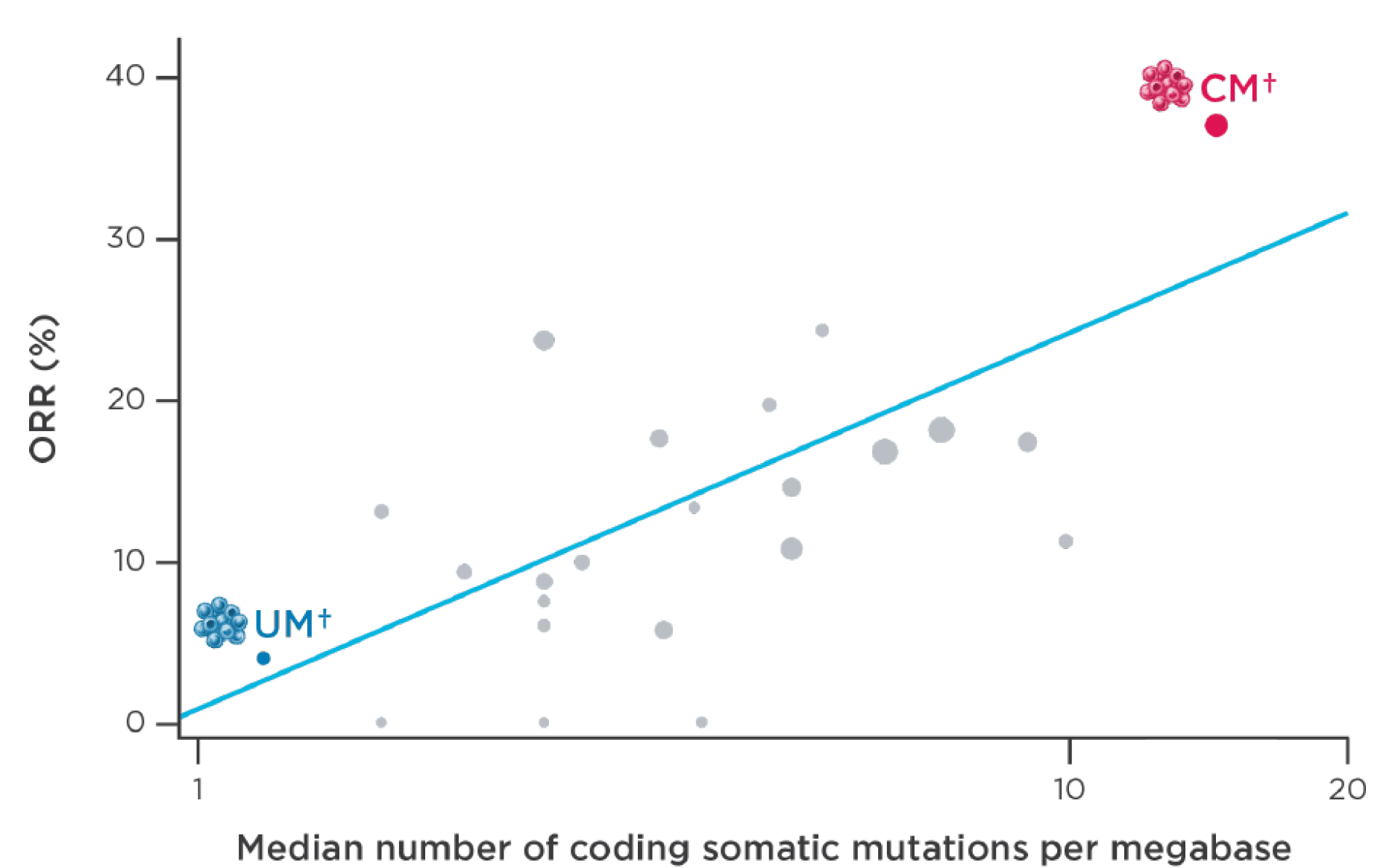 A chart showing the differences in response to checkpoint inhibitor monotherapy between mUM and mCM