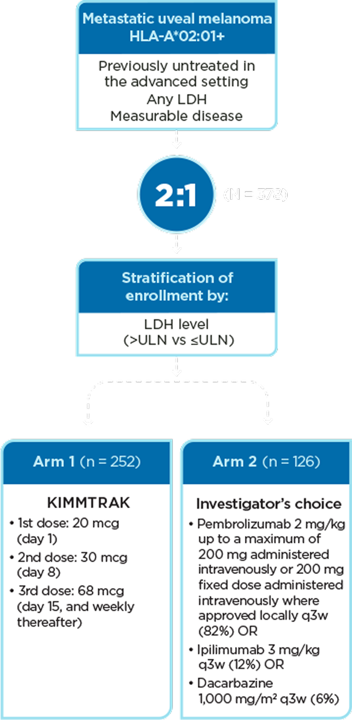 A flow chart that shows the stages of the KIMMTRAK phase 3 clinical trial process
